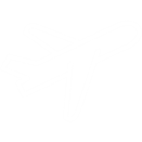 flight-1